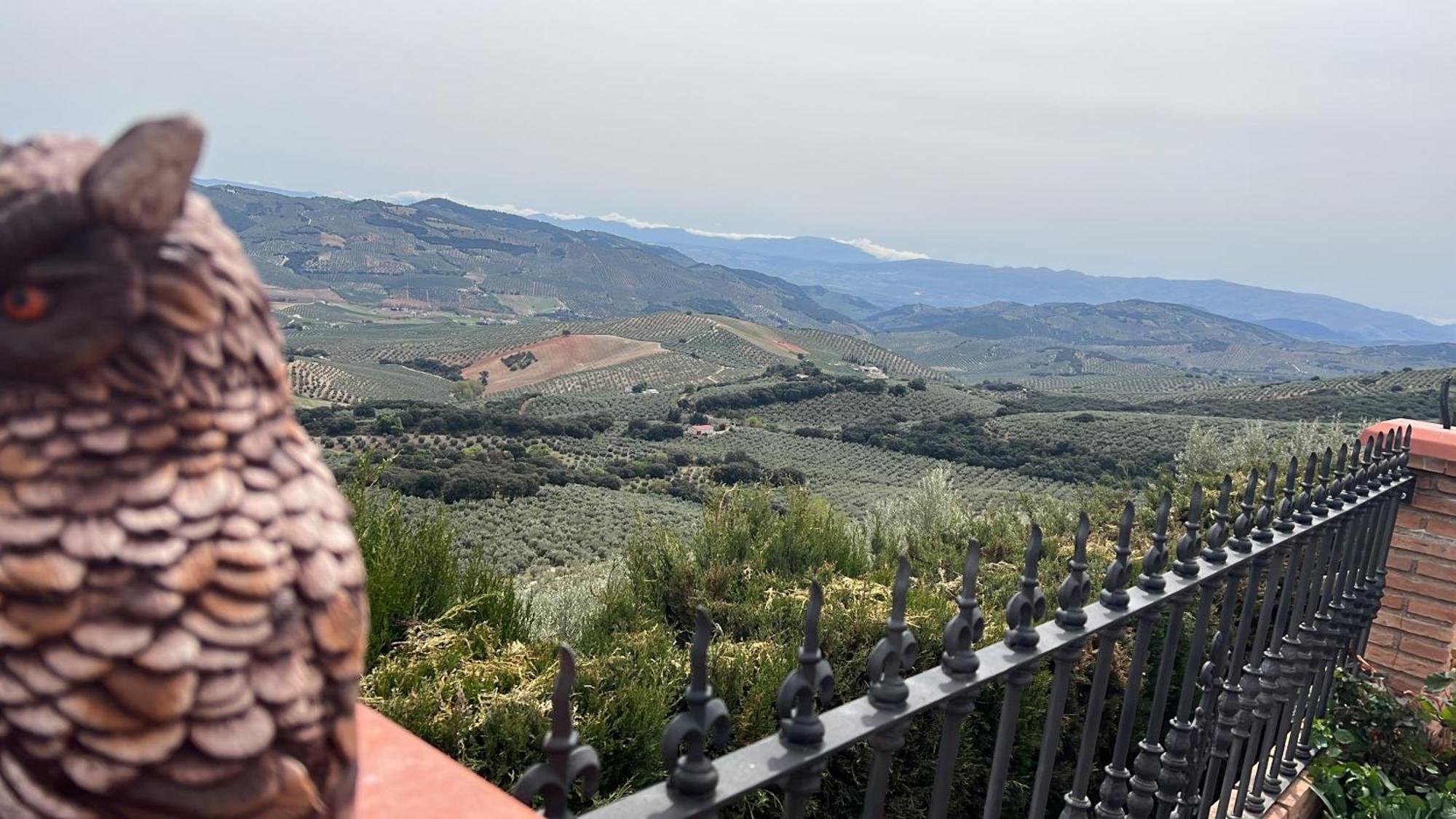 Vakantiehuis Cortijo La Solana