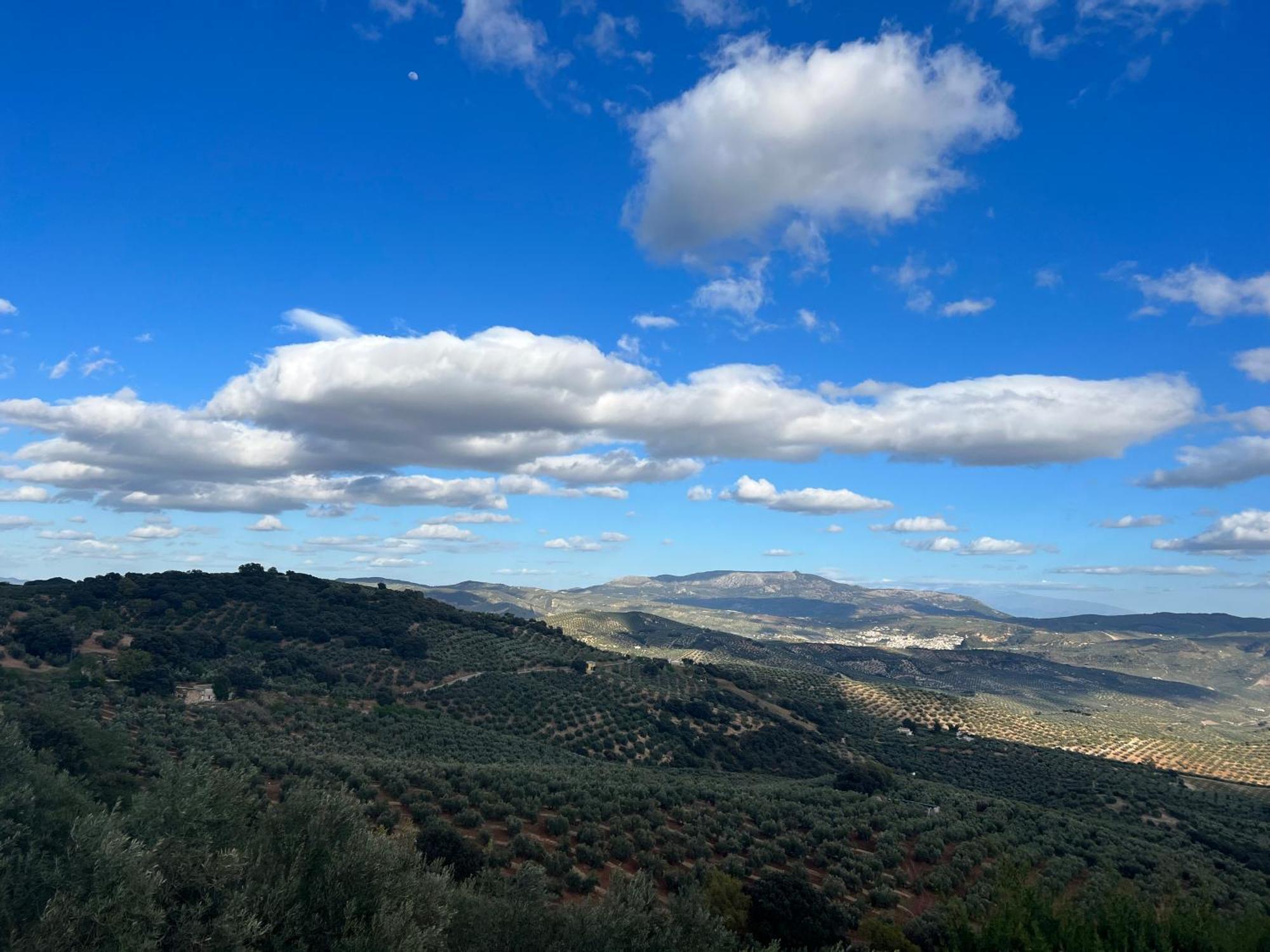 Cortijo La Solana