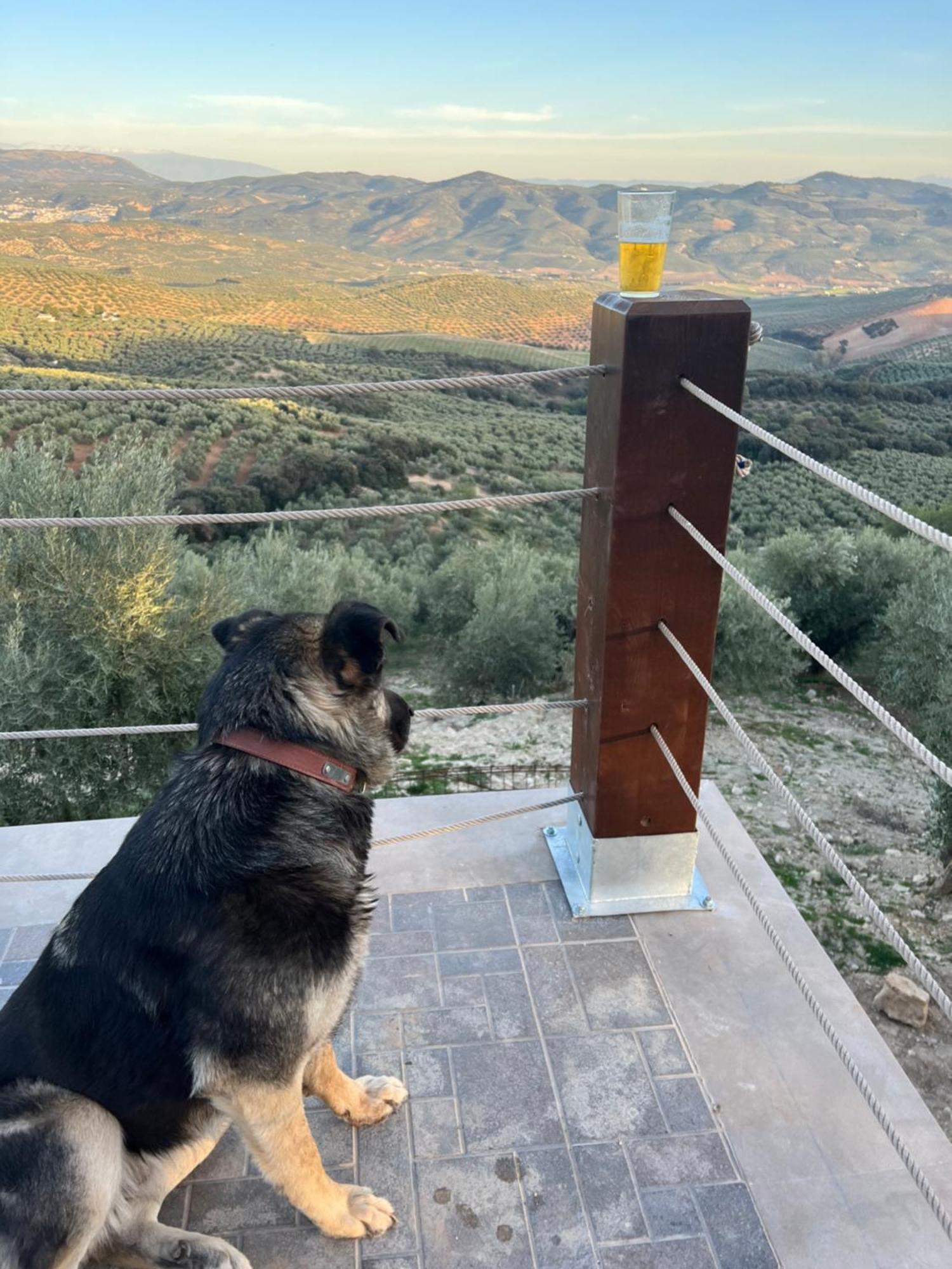 Cortijo La Solana Casa de Férias Montefrío